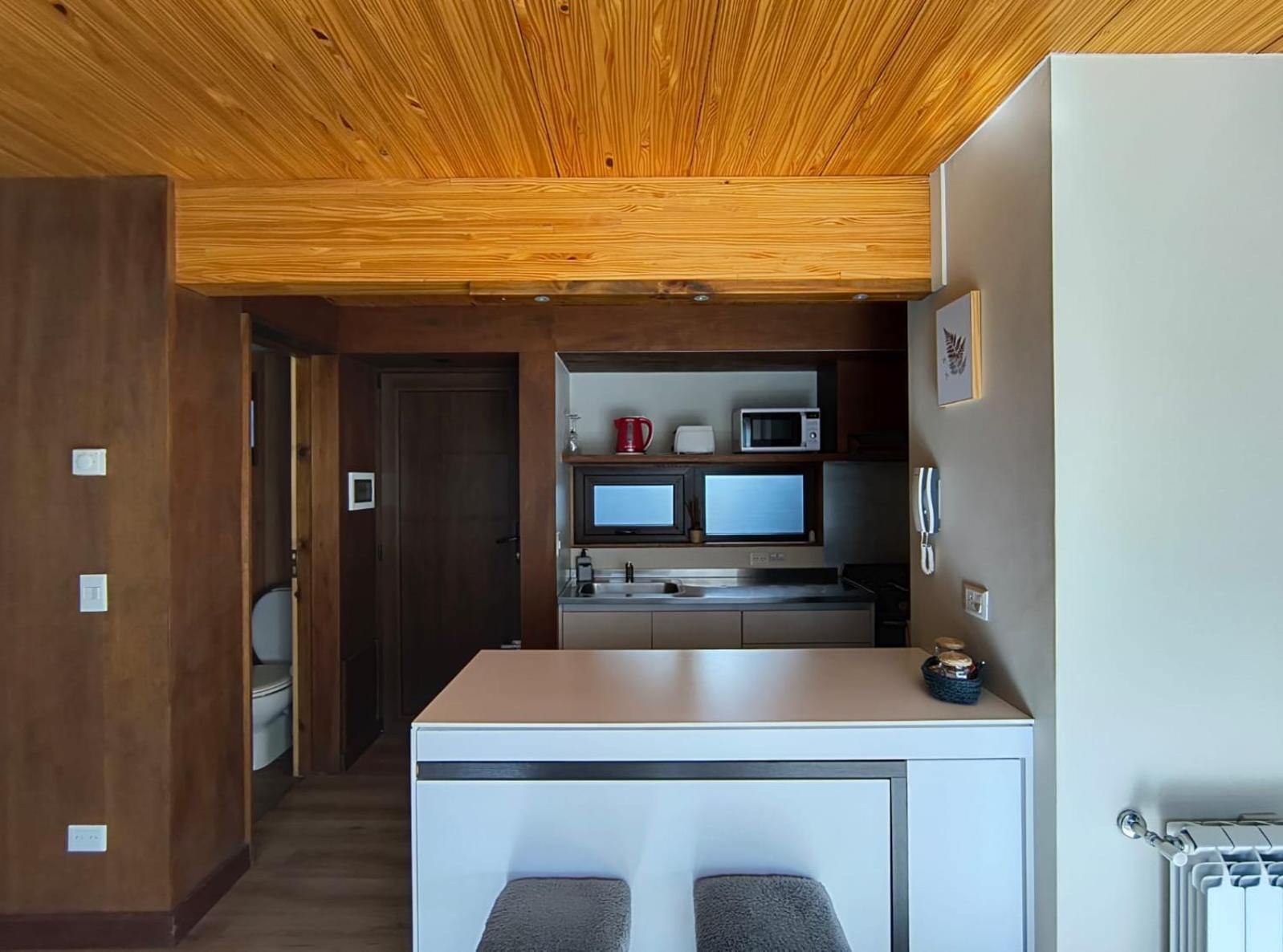 Rahue, Monoambiente Centrico Con Patio Propio Apartamento San Martín de los Andes Exterior foto